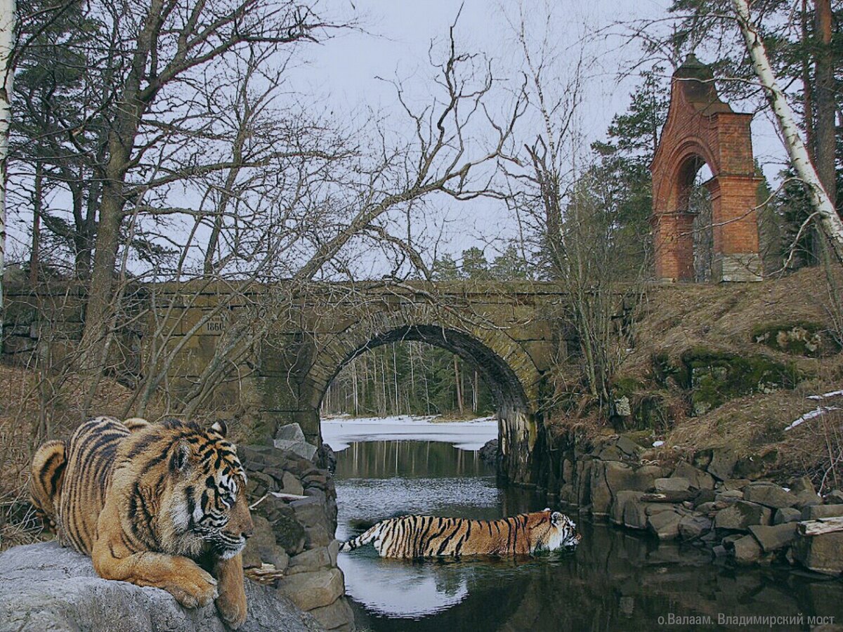 О.Валаам Владимирский мост