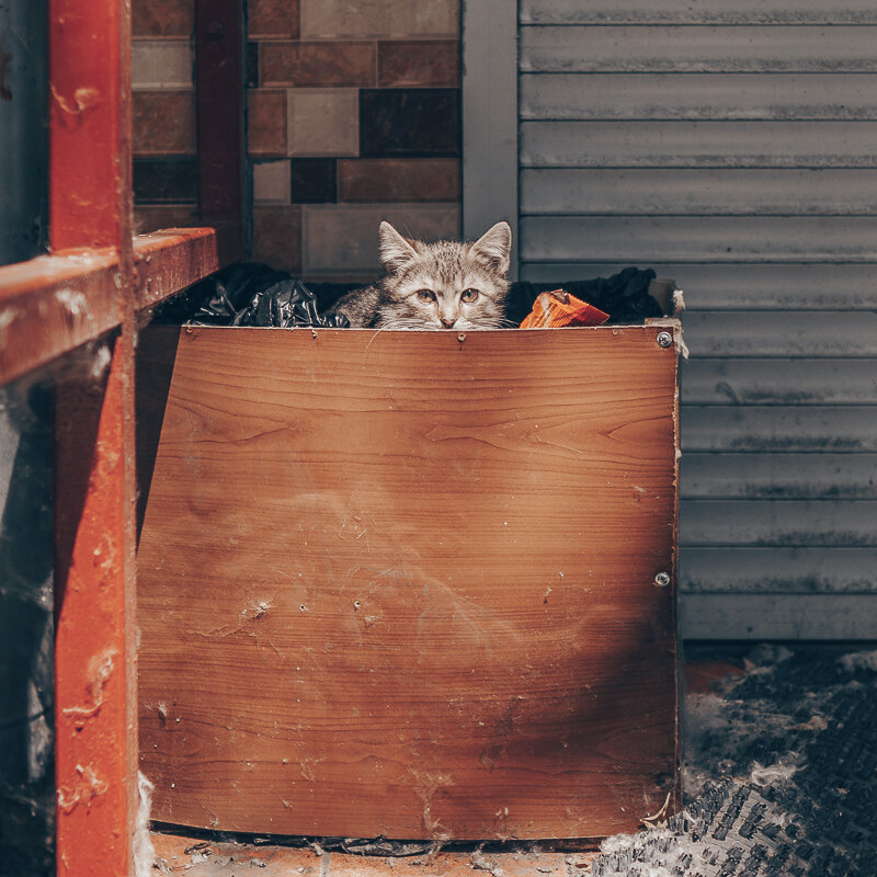 Одиночество тоже бывает всяким