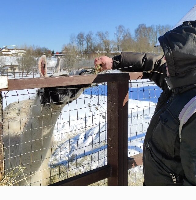 Зимой, к сожалению, вы увидите меньше животных, чем в теплое время года. Но на территории есть и закрытые павильоны, доступные для посетителей
