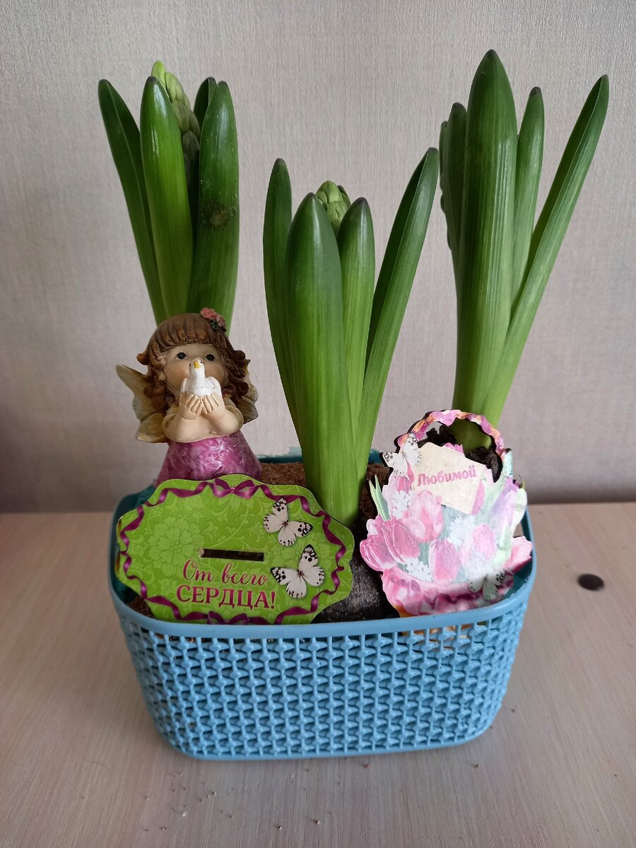 Украсила композицию те, что было под рукой.