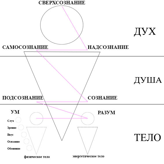 Энерго-информационная структура человека (общепринятое понятие).