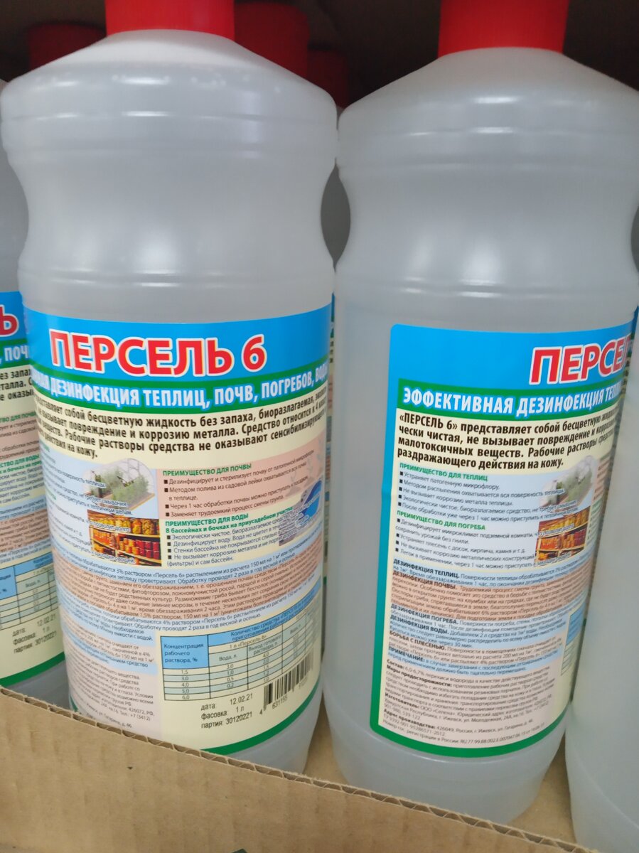 Фото из личного архива