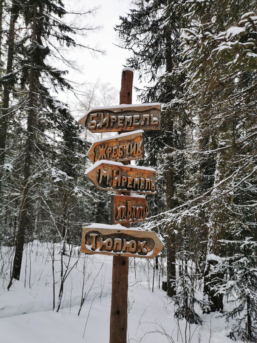 Священная гора Иремель | #неоставайтесьдома | Дзен