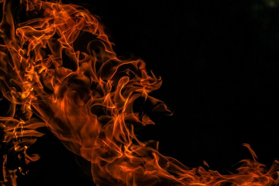 Фото: Pexels/https://pixabay.com/