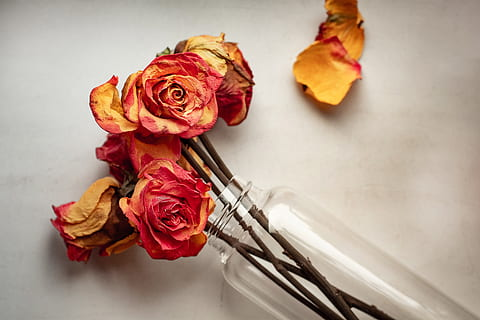 Вот, это фото похоже на наш букет в честь 1 сентября)))