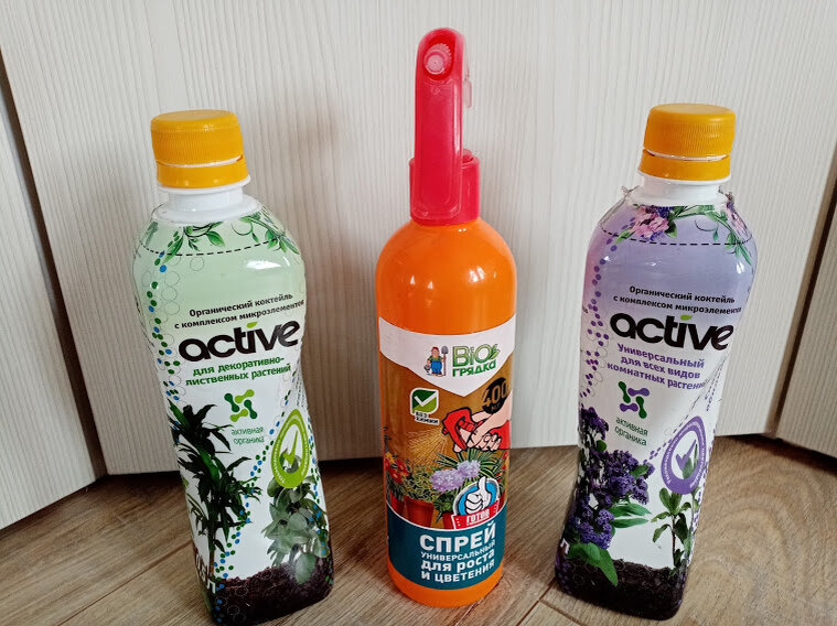 Фото автора. Мои фавориты