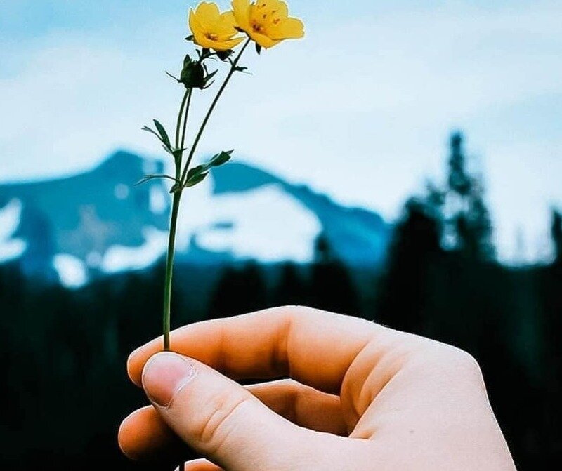 Фото https://www.instagram.com/p/CNRgcZMnebI/