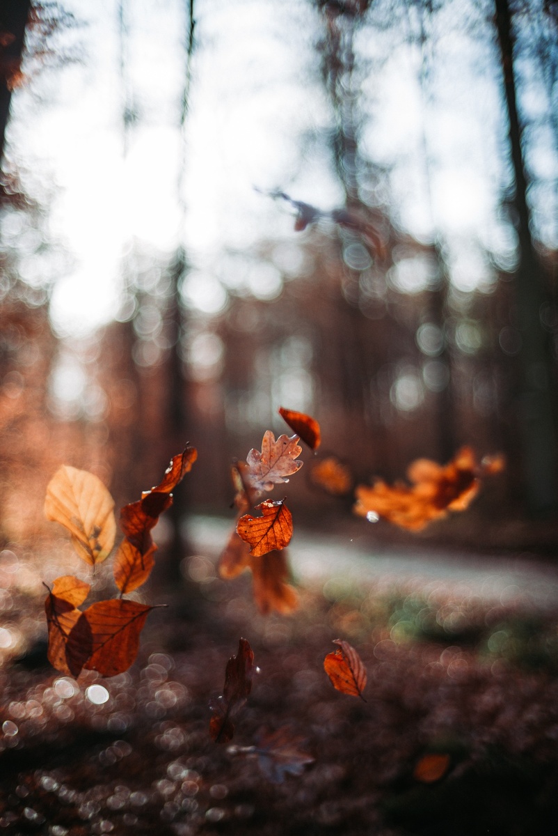 Взято с открытого источника - unsplash.com