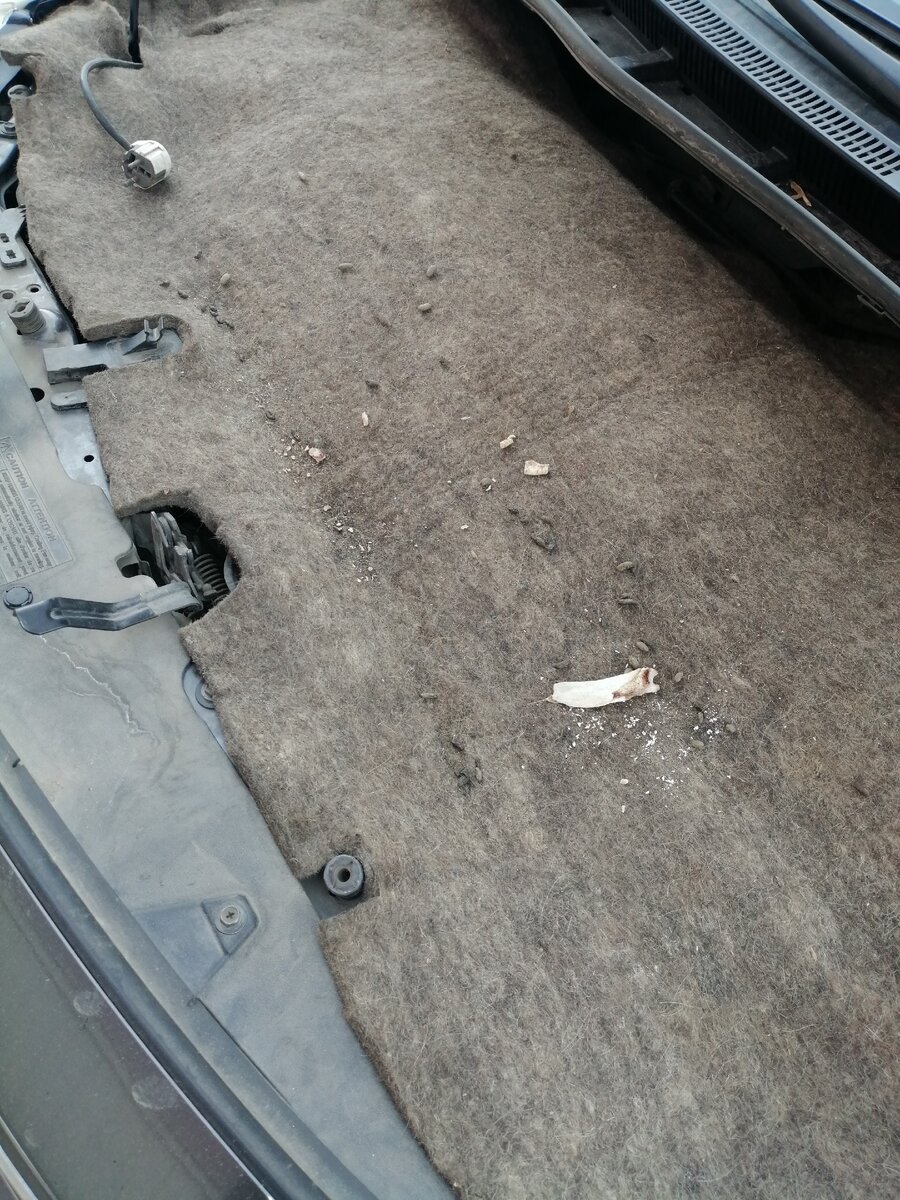 Когда открыл капот, то увидел вот это...