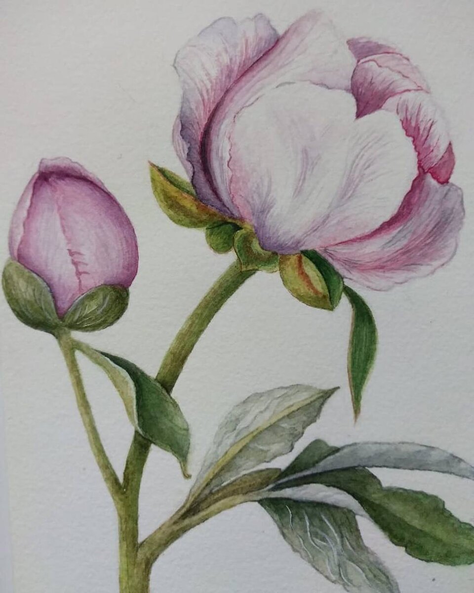 Бесплатная выставка "Цвет настроения. Цветы и абстракции". 
 
В экспозицию вошли картины с изображением цветов, а также абстрактные работы.«Живопись для меня - это сочетание волшебства творения, магии цвета, эмоций, чувств и определенных переживаний, возможность делать мир прекраснее, отображая красоту вокруг»,- делиться своими мыслями художница. 