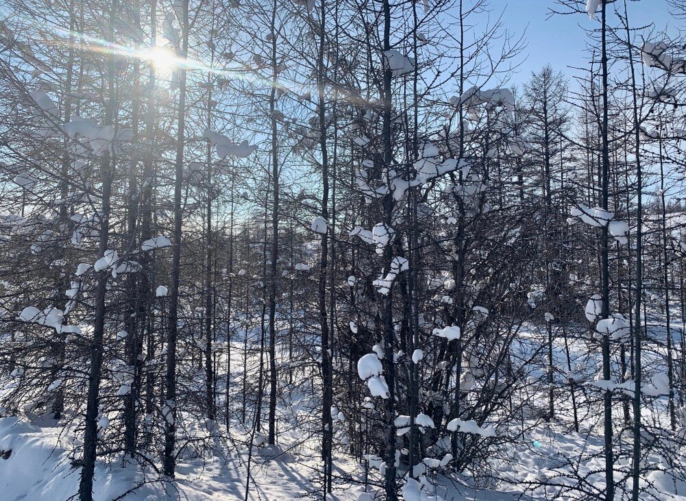 Конец февраля село качки занесенное снегом