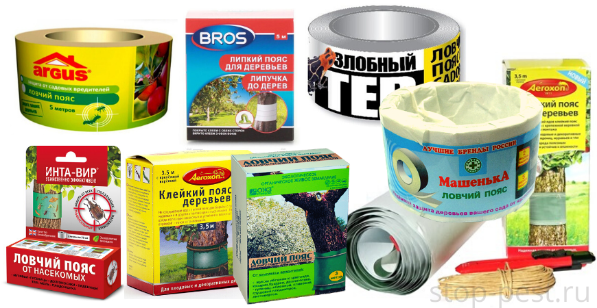 фото сайта https://stop-pest.ru