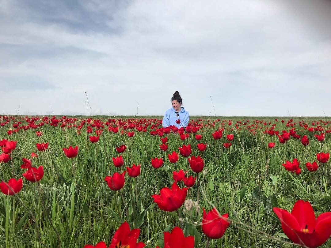 цветение тюльпанов в калмыкии. элиста праздник тюльпанов. республика калмыкия степь. республика калмыкия постамент. цветение тюльпанов в калмыкии 2023.