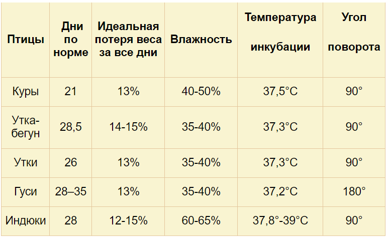 Таблица температуры инкубации куриных яиц по дням