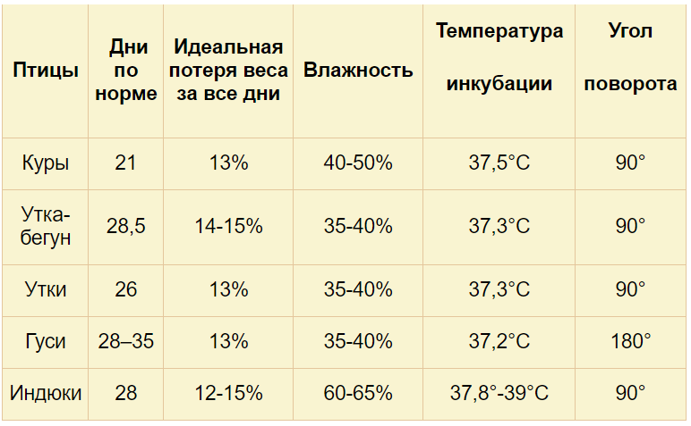 Температура инкубации