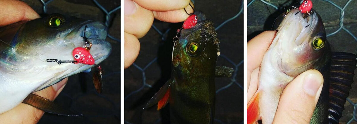 на городской набережной 