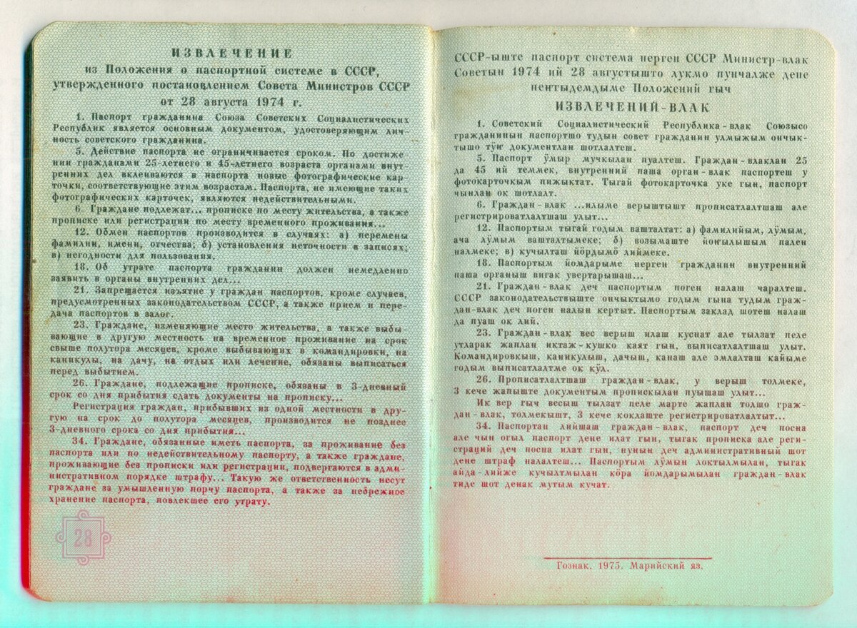 Изучаем свою родословную: найден паспорт времен СССР! | Мужчины в стране  усталых Женщин | Дзен