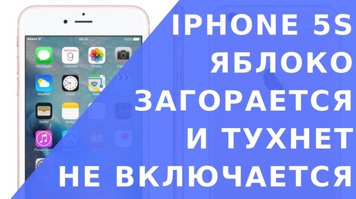 Если iPhone не включается или зависает