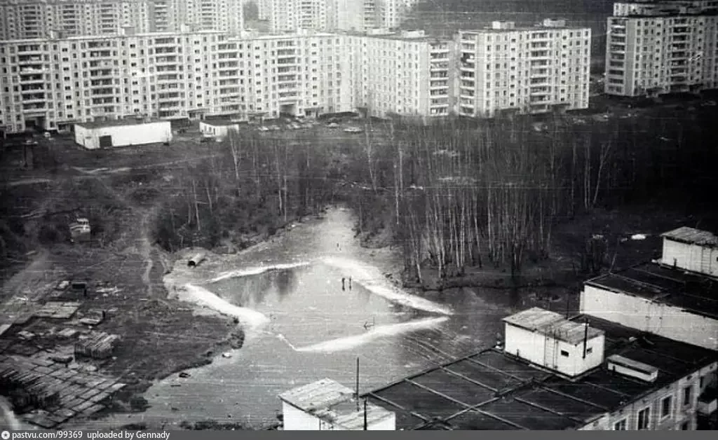 Соловьиный пруд Ясенево. Ясенево 1986. Ясенево 1980. Деревня Ясенево Москва. Деревня ясенево