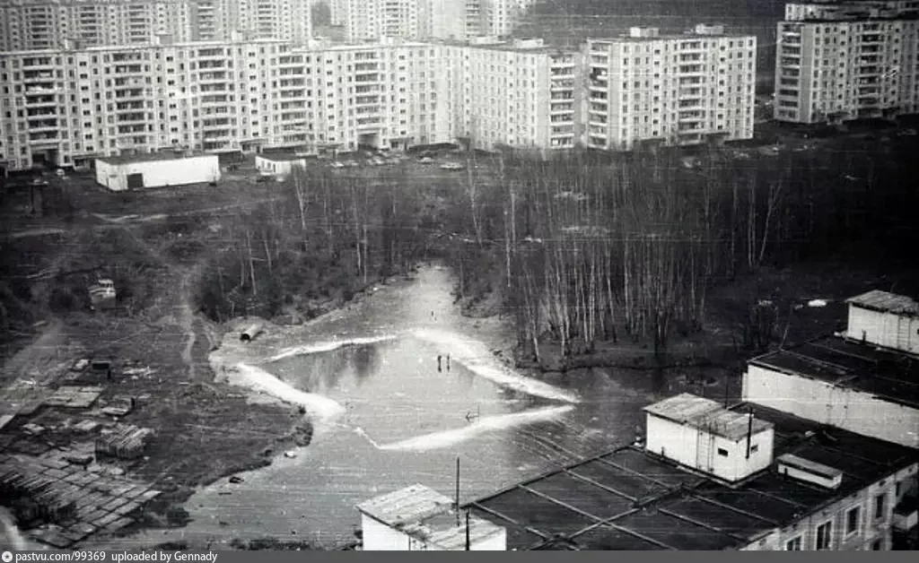 Дер ясенево. Соловьиный пруд Ясенево. Ясенево 1986. Деревня Ясенево. Деревня Ясенево Москва.