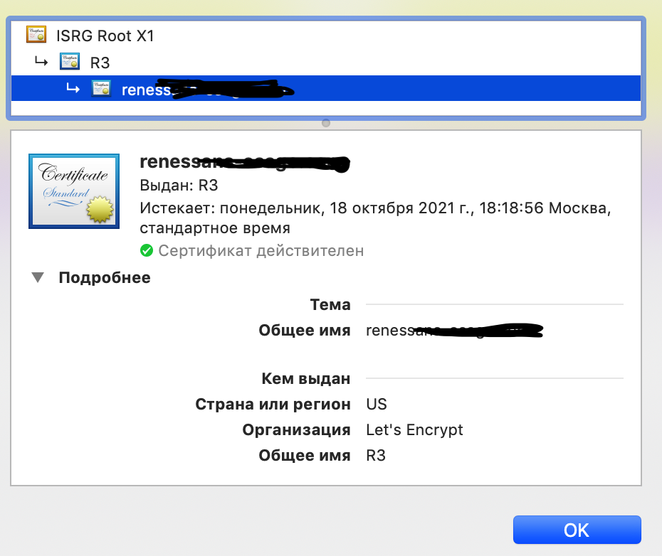 а вот так выглядит сертификат сайта, у которого связь с Ренессансом только в названии сайта