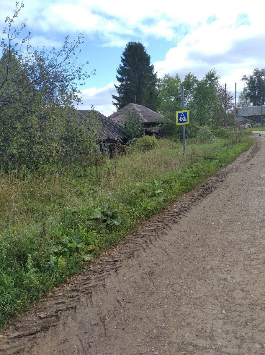 Бабушка умерла, сын 2 раза приезжал на дачу и всё забросил, гниёт. А асфальт ещё держится, ему 30 лет.
