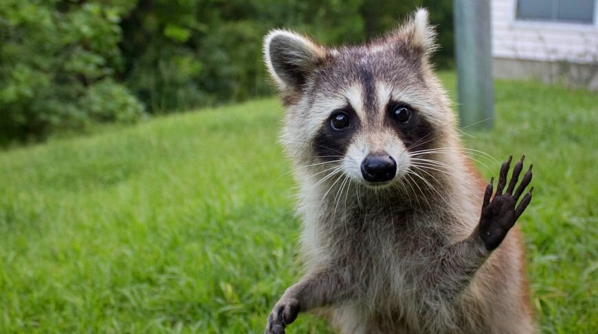 Передаём привет читателям! 