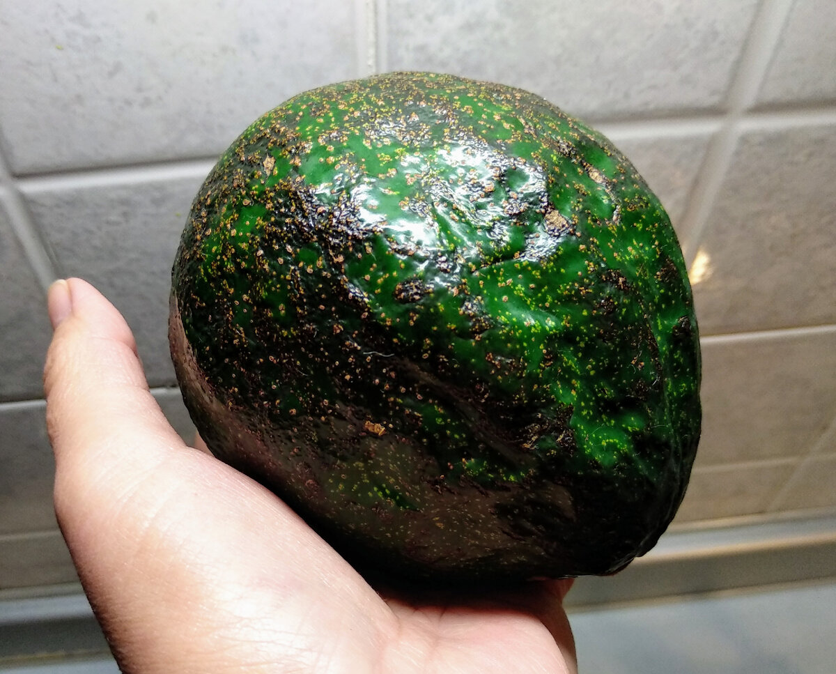 Такие круглые мне нравятся больше, чем грушевидные - фото автора