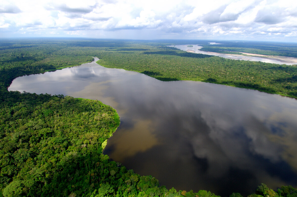 Что ученые нашли под руслом Амазонки и почему это заставило отказаться от  планов по строительству мостов | Буйство Слов | Дзен