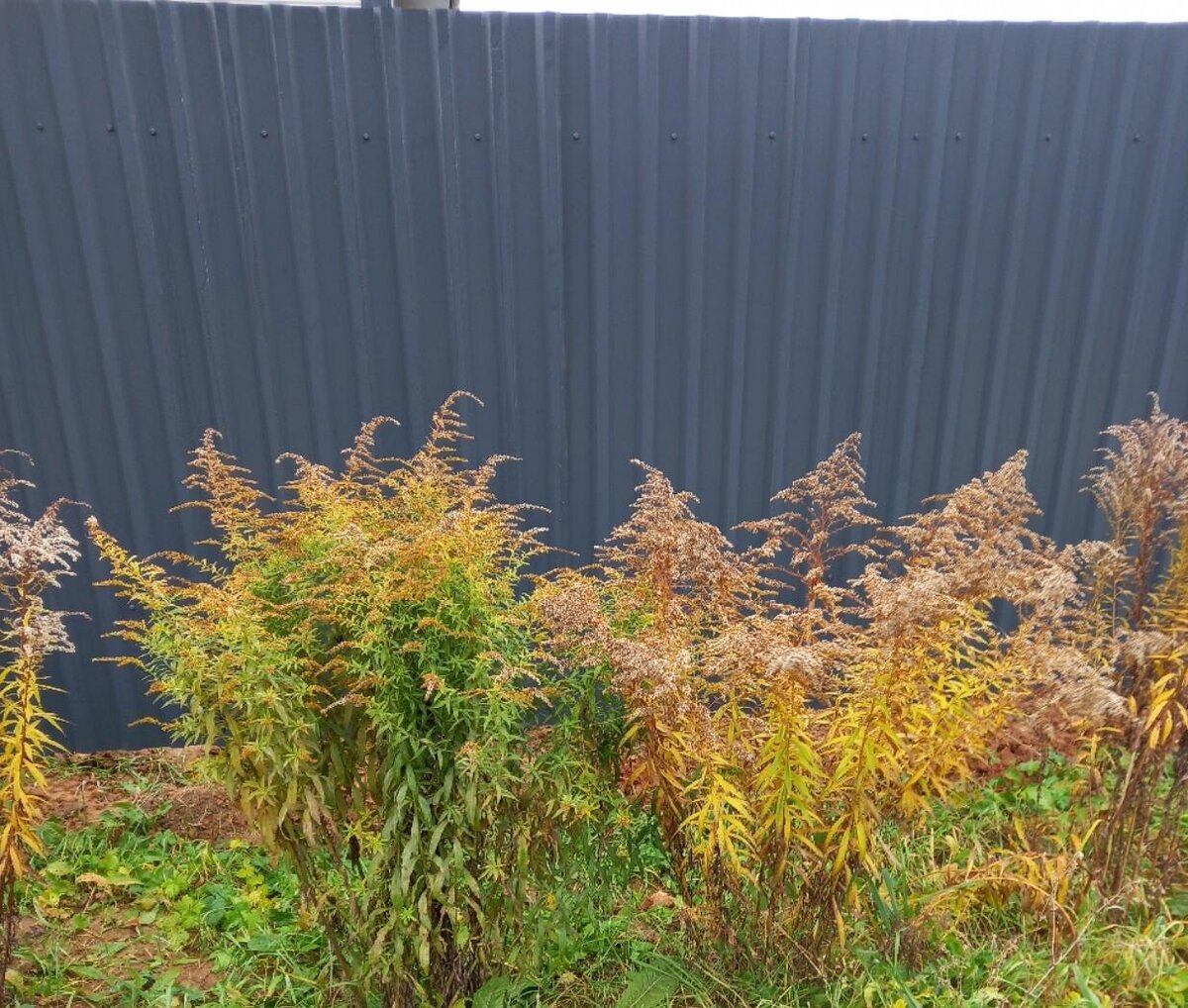 Вот так, аккуратно и в рядочек...