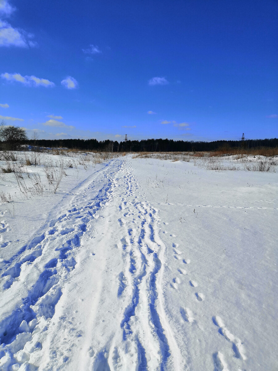 Следы на снегу