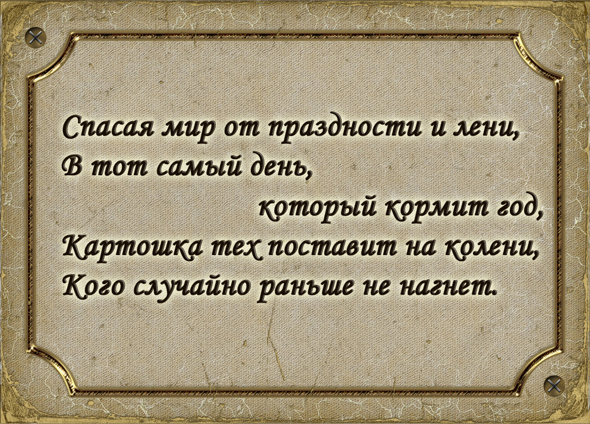 Источник: https://tabor.ru/feed/1676829?_escaped_fragment_=