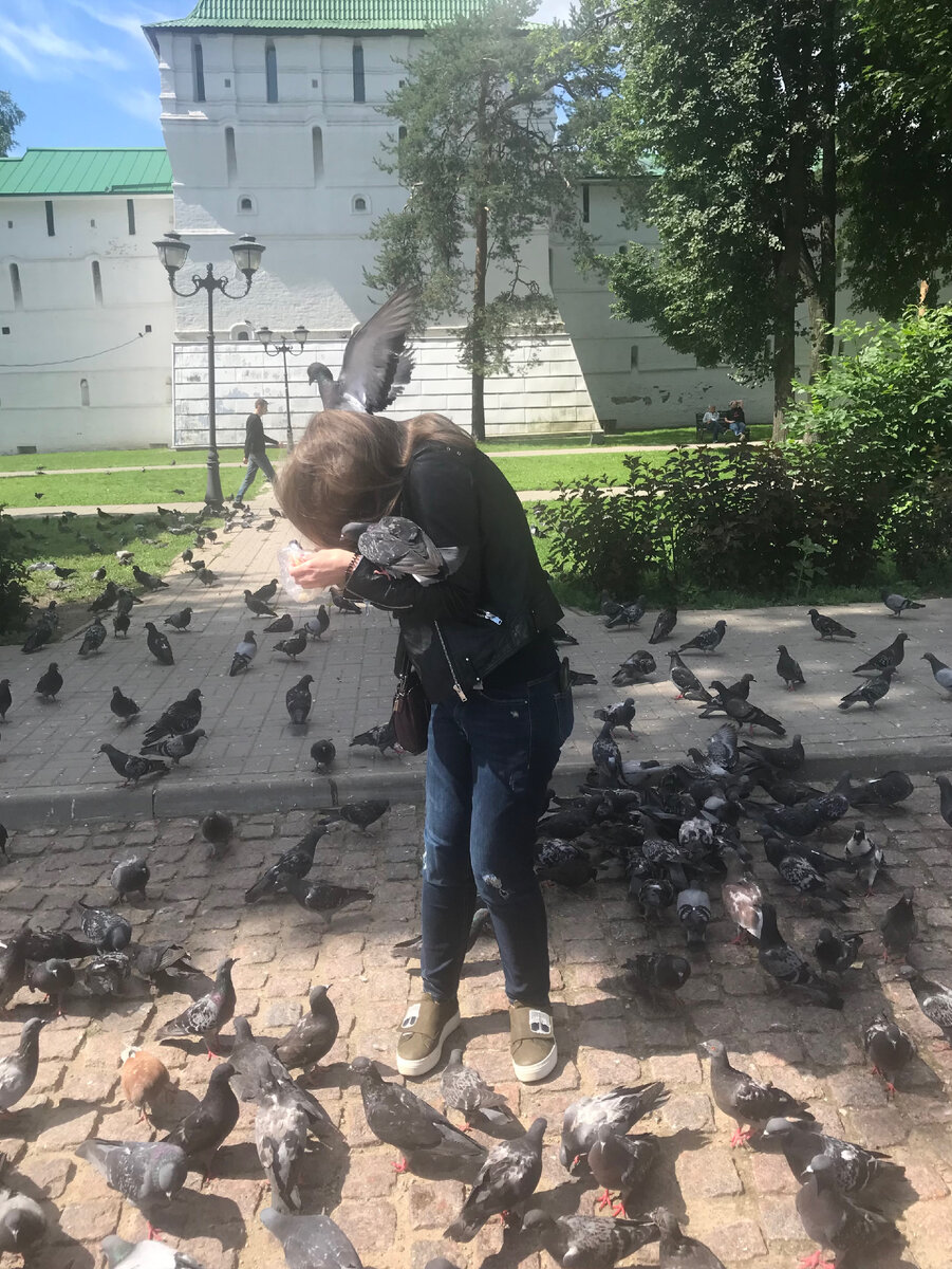 Птицы позируют для фото, а турист нет 