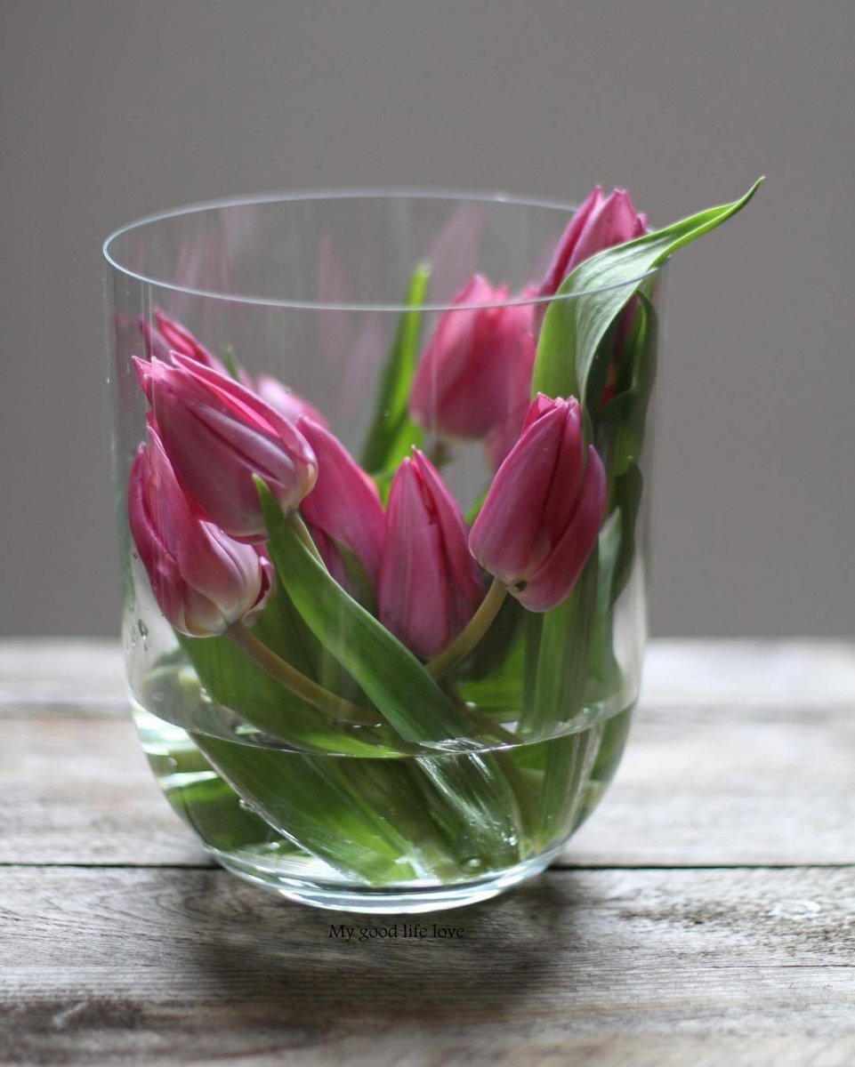 Сколько стоят в вазе тюльпаны с водой. Тюльпаны в вазе. Тюльпаны в стеклянной вазе. Вазы для тюльпанов. Ваза с тюльпанами.
