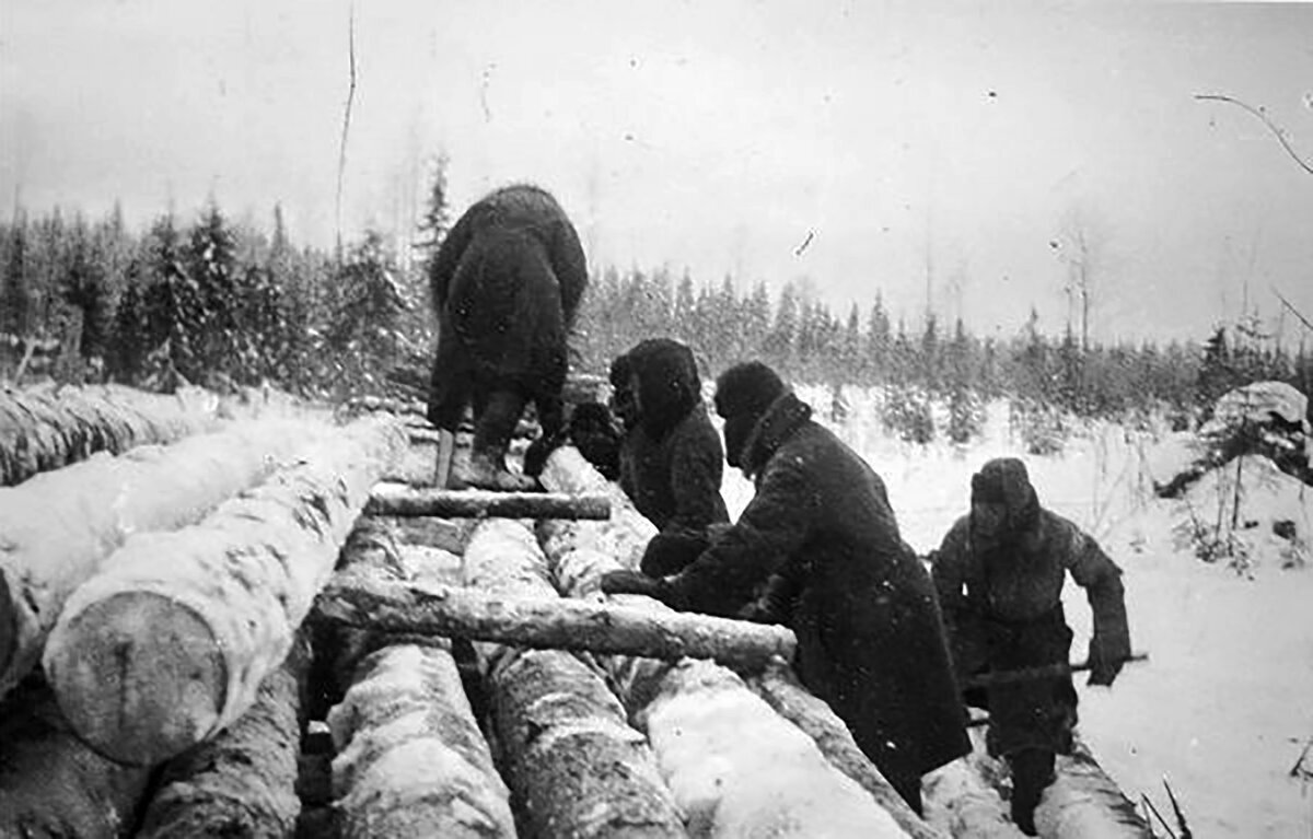 Лесоповал. Фото из сети интернет