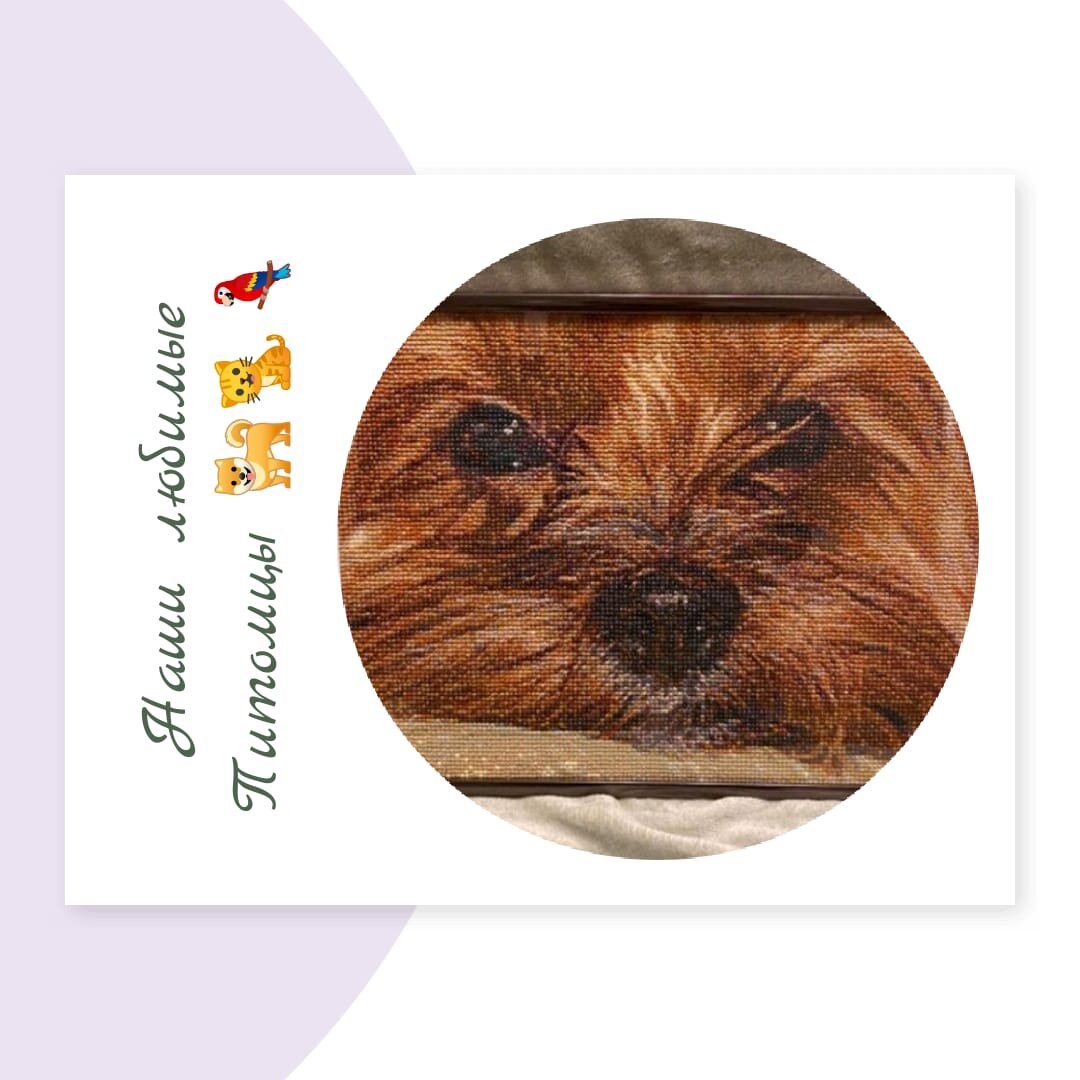 Если все уже передарил и уже просто не знаешь что подарить🙈