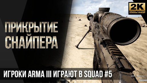 Прикрытие снайпера • Игроки ArmA 3 играют в SQUAD #5 [2K]