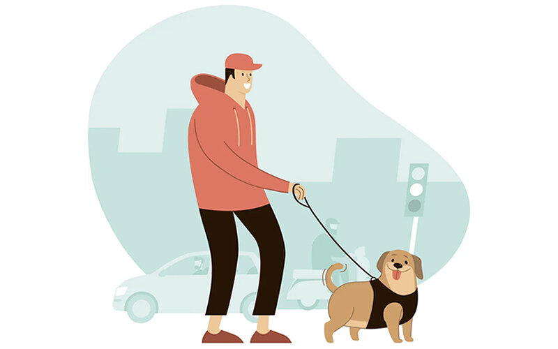 Приучение щенка к туалету на улице пойдёт быстрее, если просто вы сведёте ошибки к минимуму. Иллюстрация Zubada