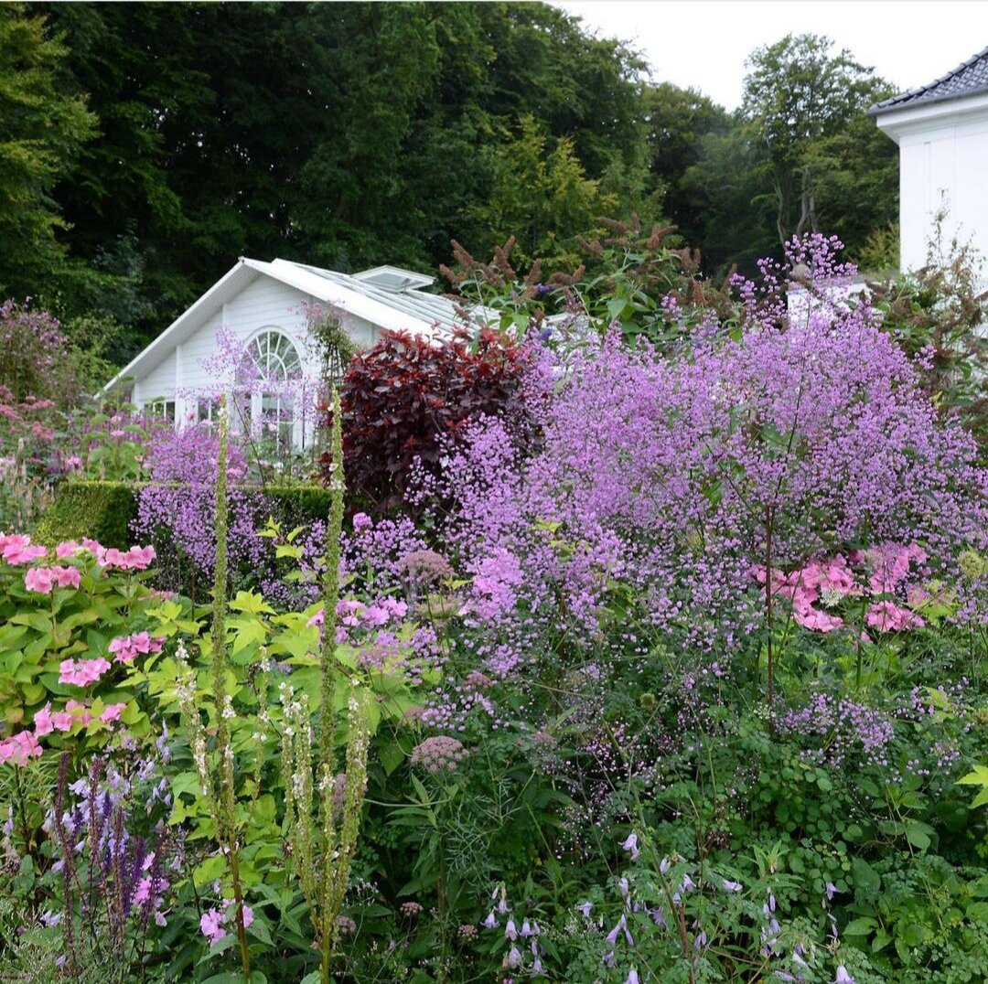 Фото из сада Клауса Делби