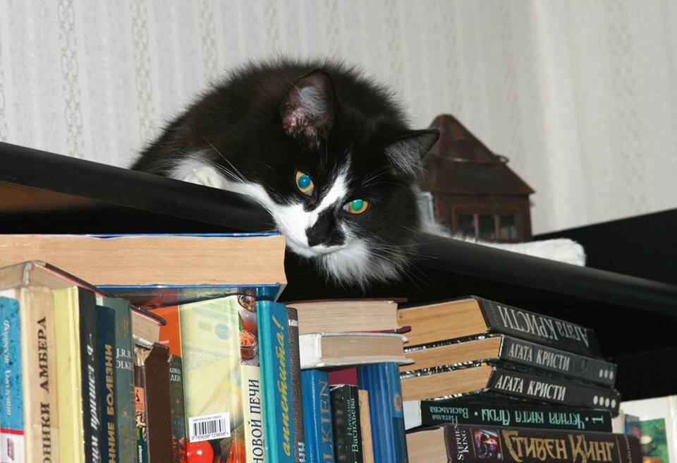 Нет такого места, куда не залезло бы глухое чудовище.