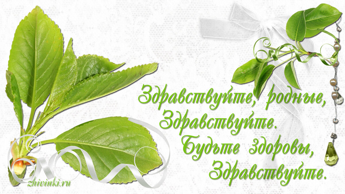Здравствуйте, родные, здравствуйте. Будьте здоровы, здравствуйте.