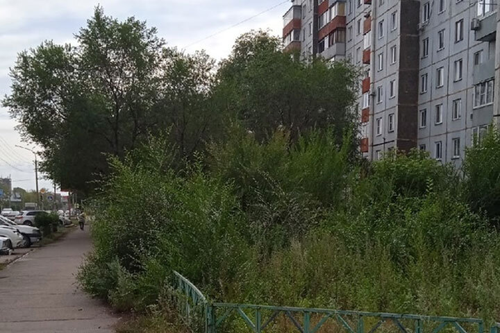 Фото: из комментариев под постами администрации Черногорска