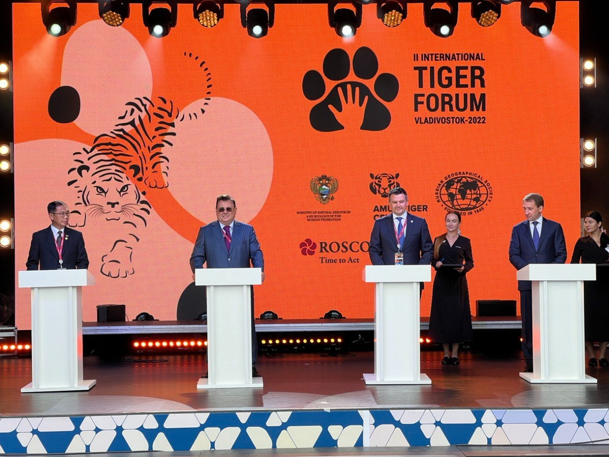 Из открытых источников.