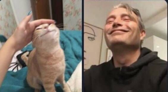 Ой, извините, две одинаковые фотки прикрепила. 