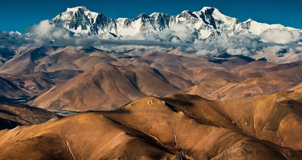 Фото: Яндекс картинки