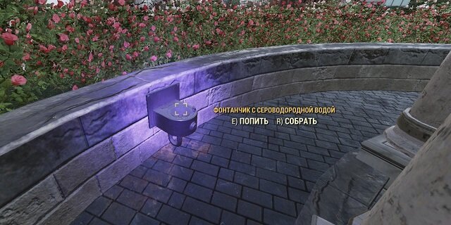 Собранная из фонтанчика вода, к сожалению, не обладает чудесными свойствами