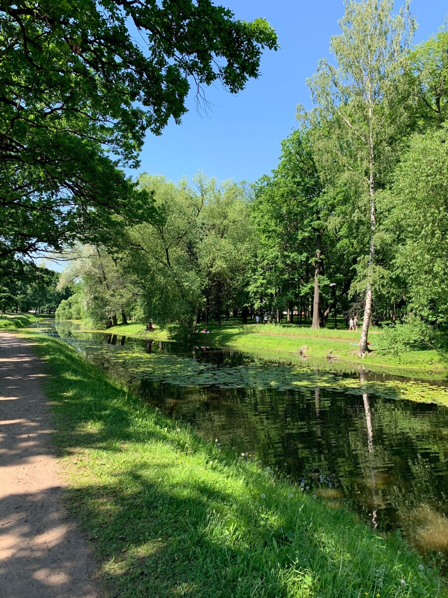 Даже не верится, что такая природа всего в 10 минутах езды от центра! 