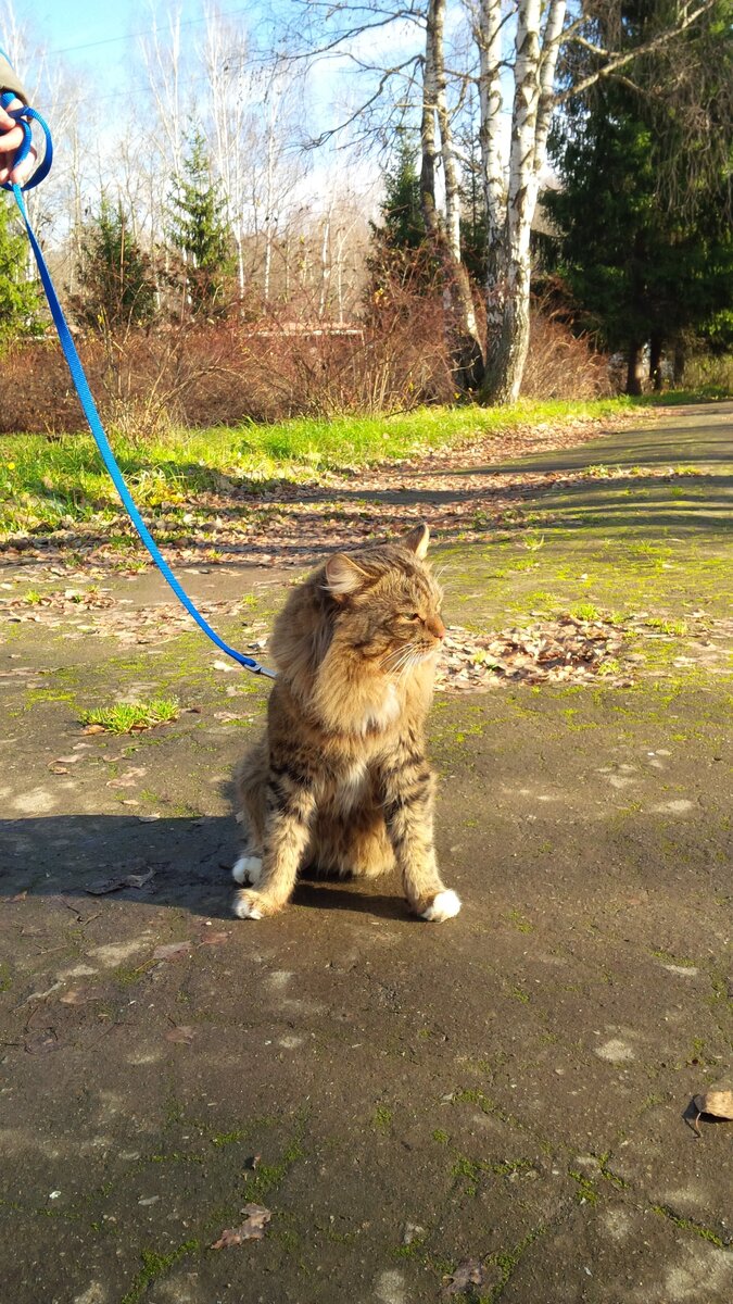 Хороший день для прогулок