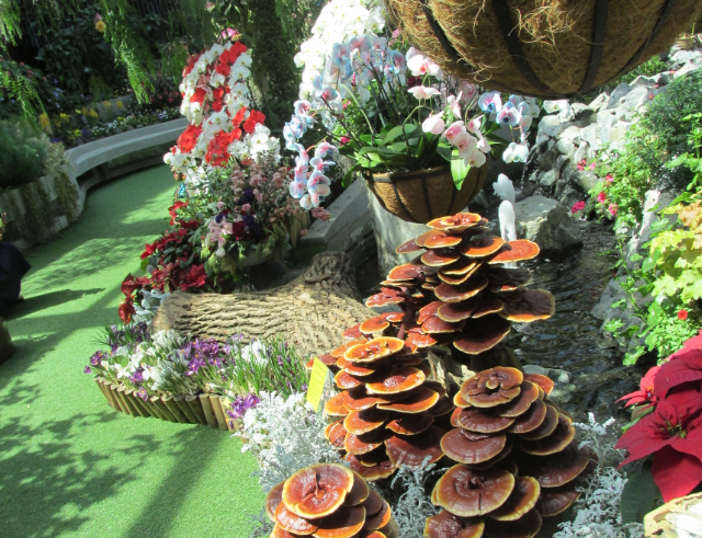 Фото автора, сделано в Сингапуре, март 2020