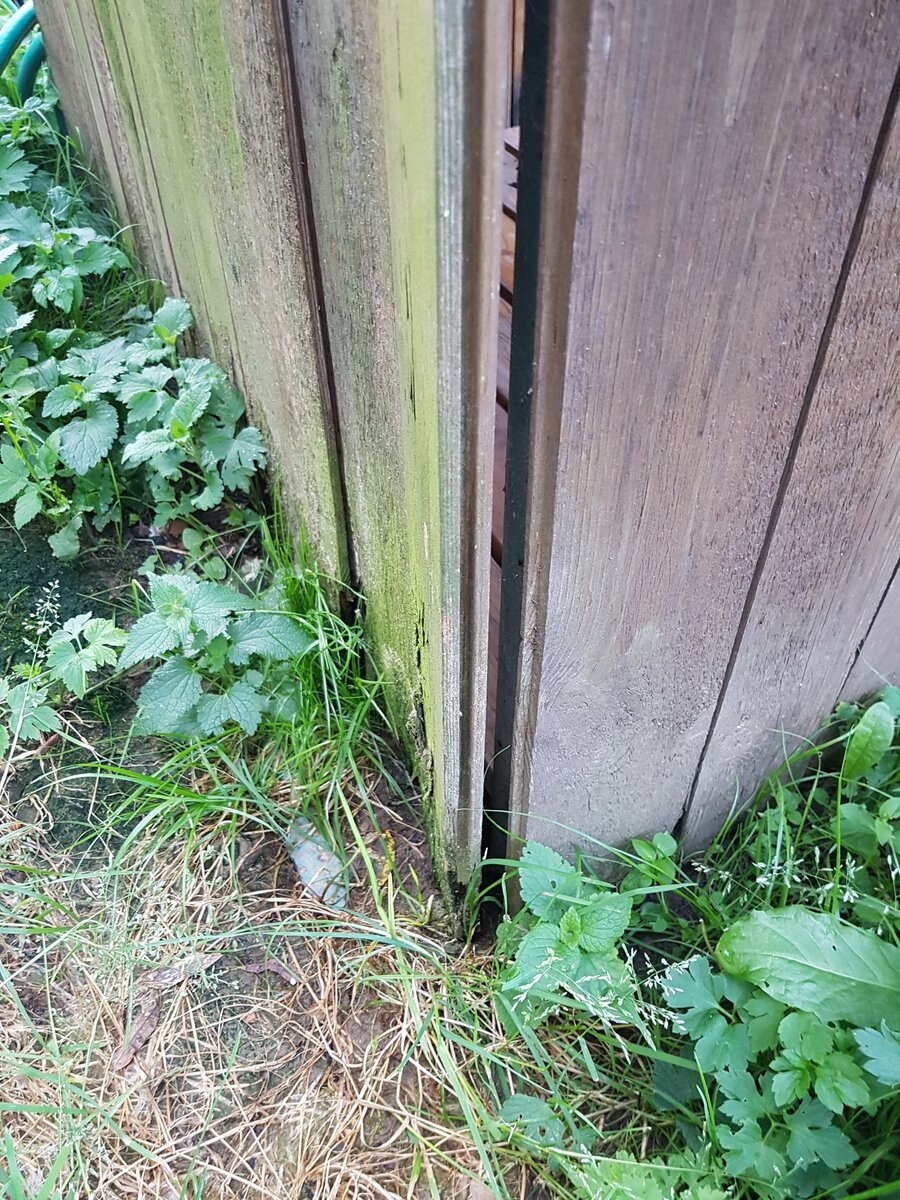 щели в душевой. фото автора